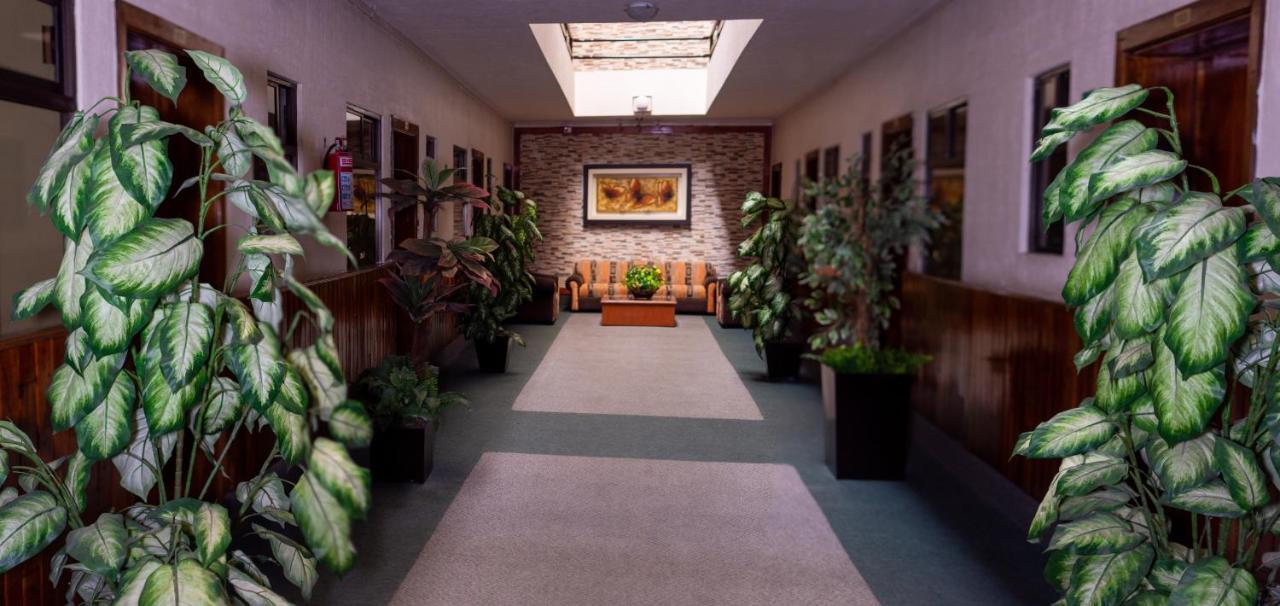 Hotel Guadalajara San Luis Potosí Eksteriør bilde